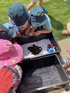 sandpit-playing